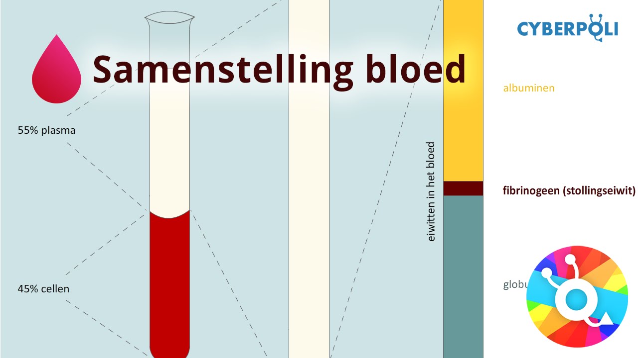 Samenstelling - Bloed - YouTube - Welke Stoffen Zijn Opgelost In Bloedplasma