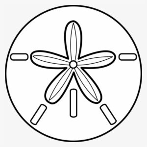 Sand Dollar Transparent PNG - 1024x967 - Free Download on NicePNG - 20 Ug Is Hoeveel Microgram