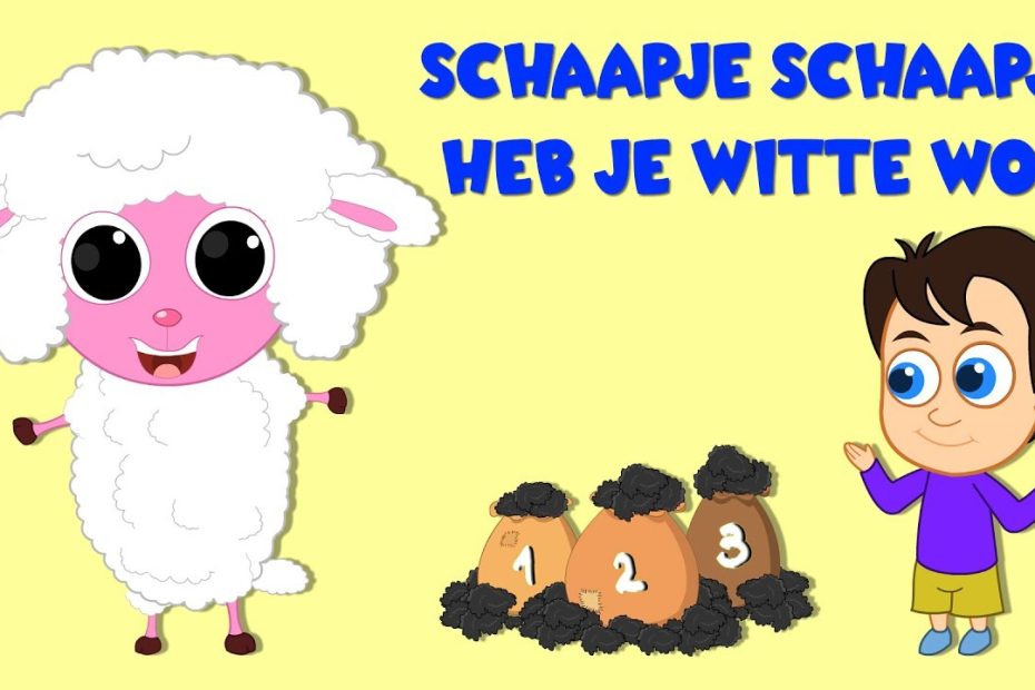 Schaapje Van Drie Tot Zes Weken