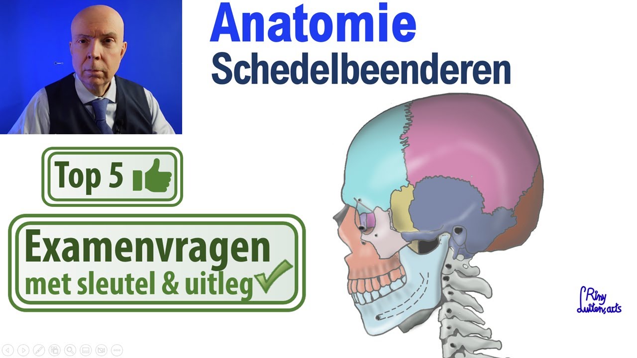 Schedel beenderen (Anatomie-Schedel): Uitleg Top 5 examen vragen - YouTube - Hoe Wordt De Holte In De Schedelbeenderen Genoemd