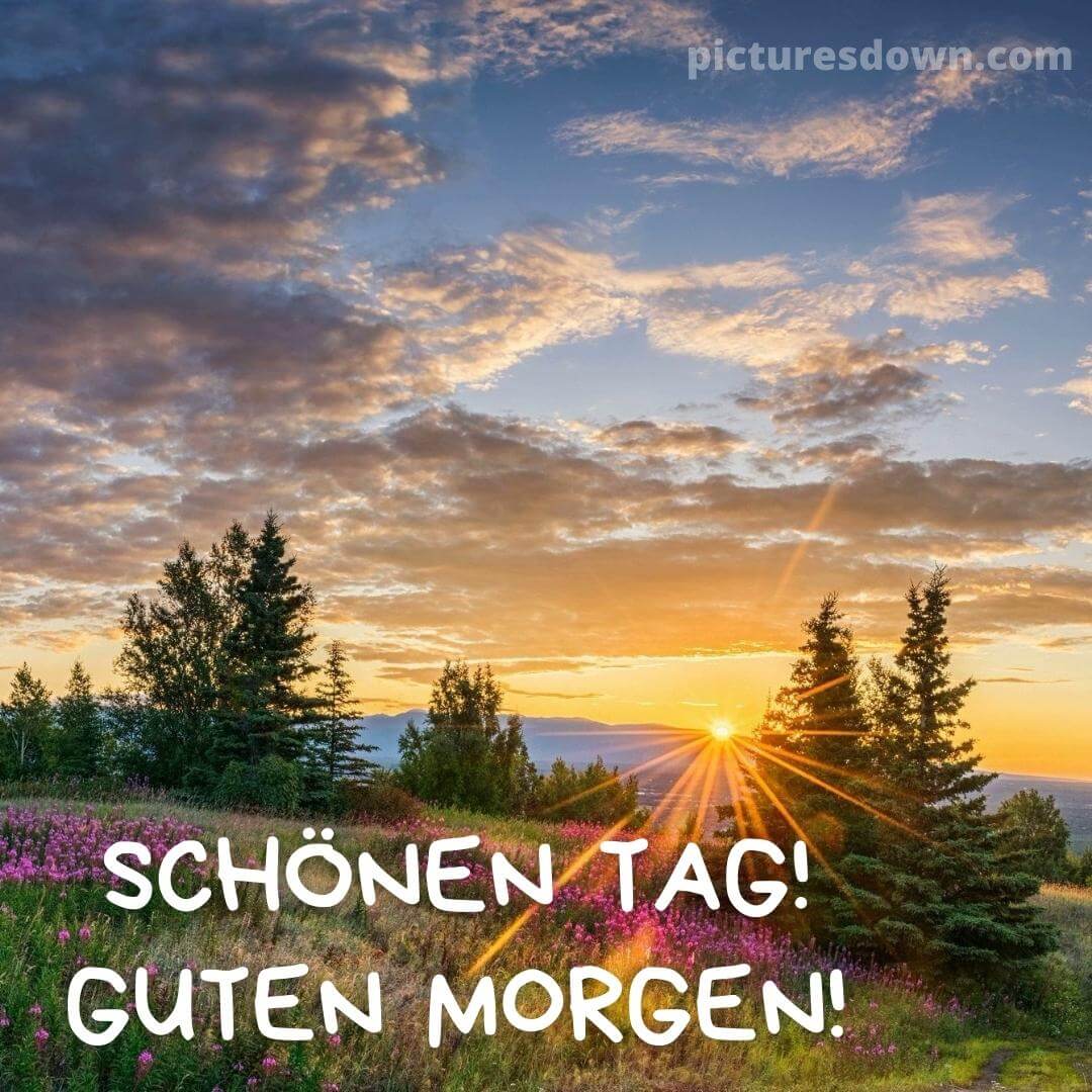Schönen guten morgen bild Landschaft - picturesdown.com - Morgen Zal Het Beter Gaan