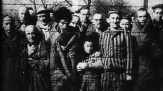 Schooltv: Hoe kwam Hitler aan de macht? - Scrollverhaal over de opkomst - Hoe Kwam Hitler Aan De Macht