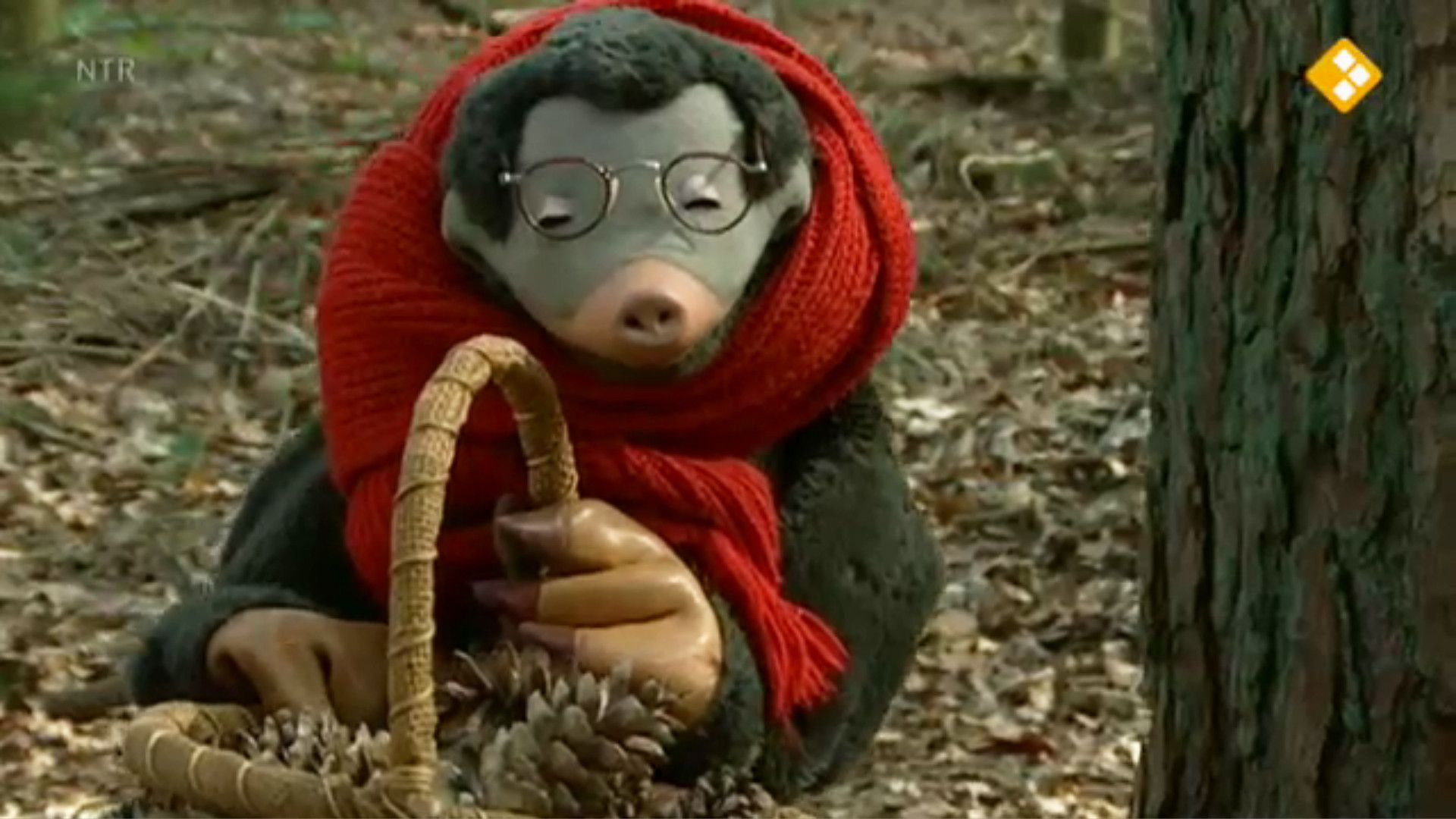 Schooltv: Koekeloere - Alles is voor Moffel | Herfst, Herfst halloween - Schooltv Film In De Klas