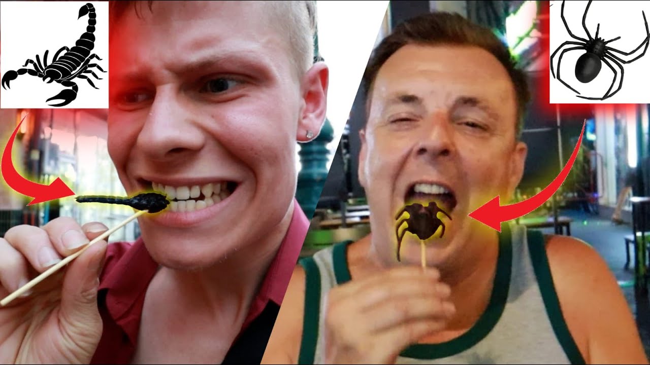 SCHORPIOEN EN SPIN ETEN?!😱🥴 #86 - YouTube - Hoe Lang Leeft Een Spin Zonder Eten