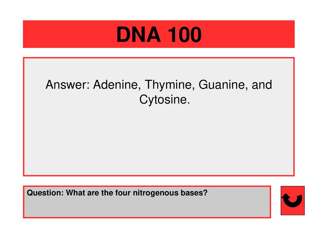 Science Jeopardy! DNA RNA - ppt download - Adenine Thymine Guanine And Cytosine