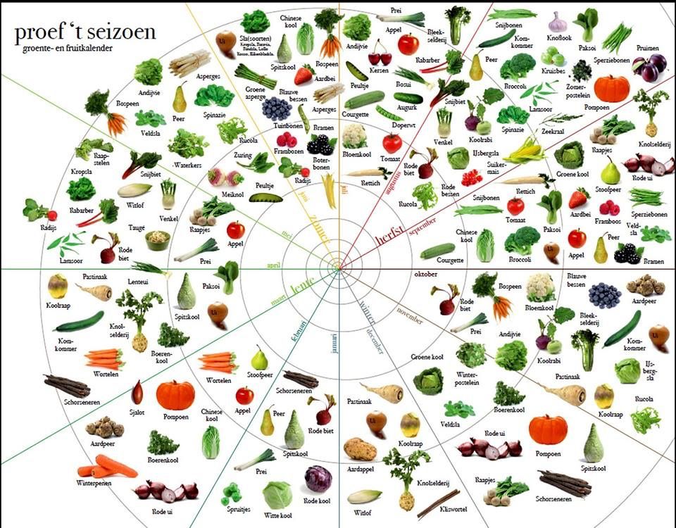 Welk Fruit Is Nu In Het Seizoen