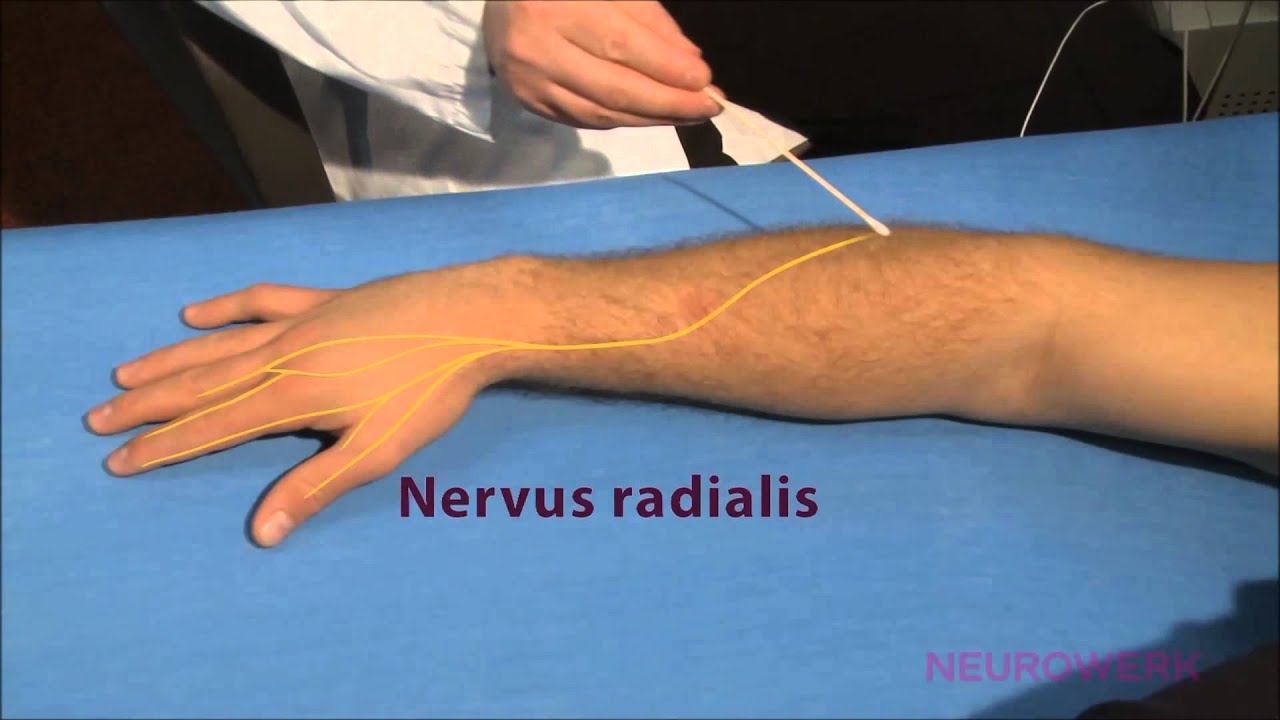 Wat Is Neuropathie In De Benen