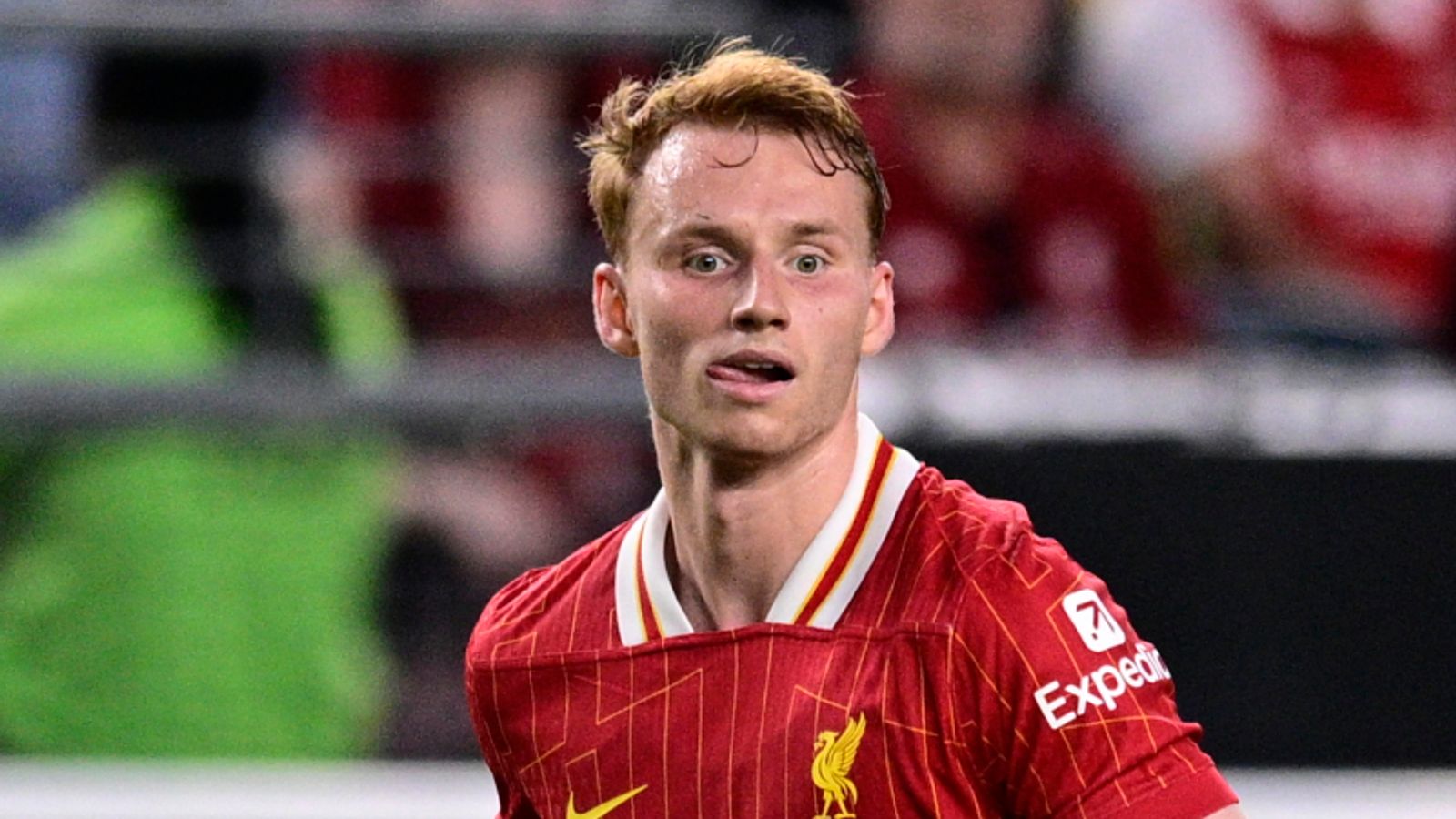 Sepp van den Berg transfer: Brentford complete initial £20m deal to - Prop S Van Den Berg