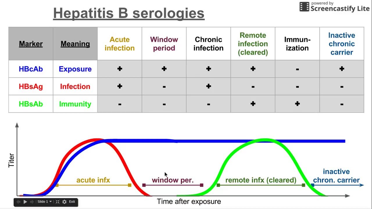 Serology Meaning - Verschil Hepatitis A En B