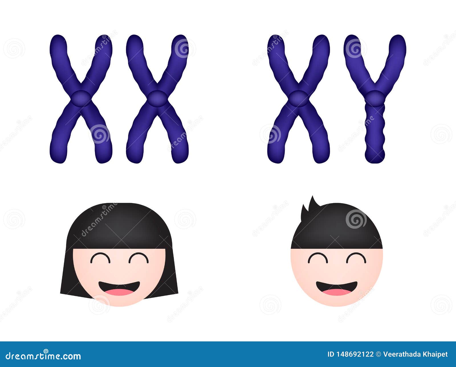 Sex Chromosome Women And Men Stock Illustration Illustration Of | Free - Mannen Met Vrouwelijk Chromosoom Naakt
