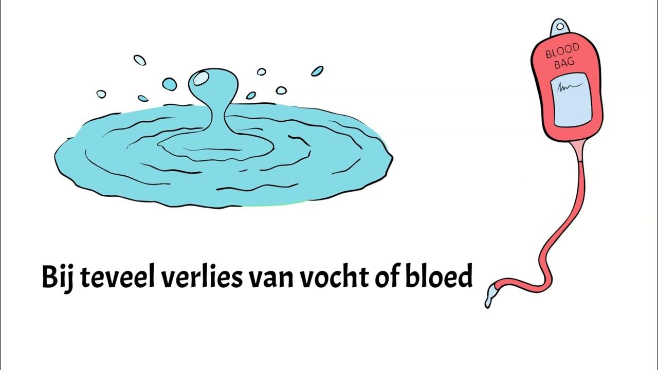 Wat Te Doen Bij Shock