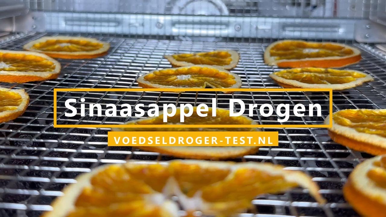 Sinaasappel Drogen met een voedseldroger | Gedroogde - Moet Je Gedroogde Pruimen Wellen