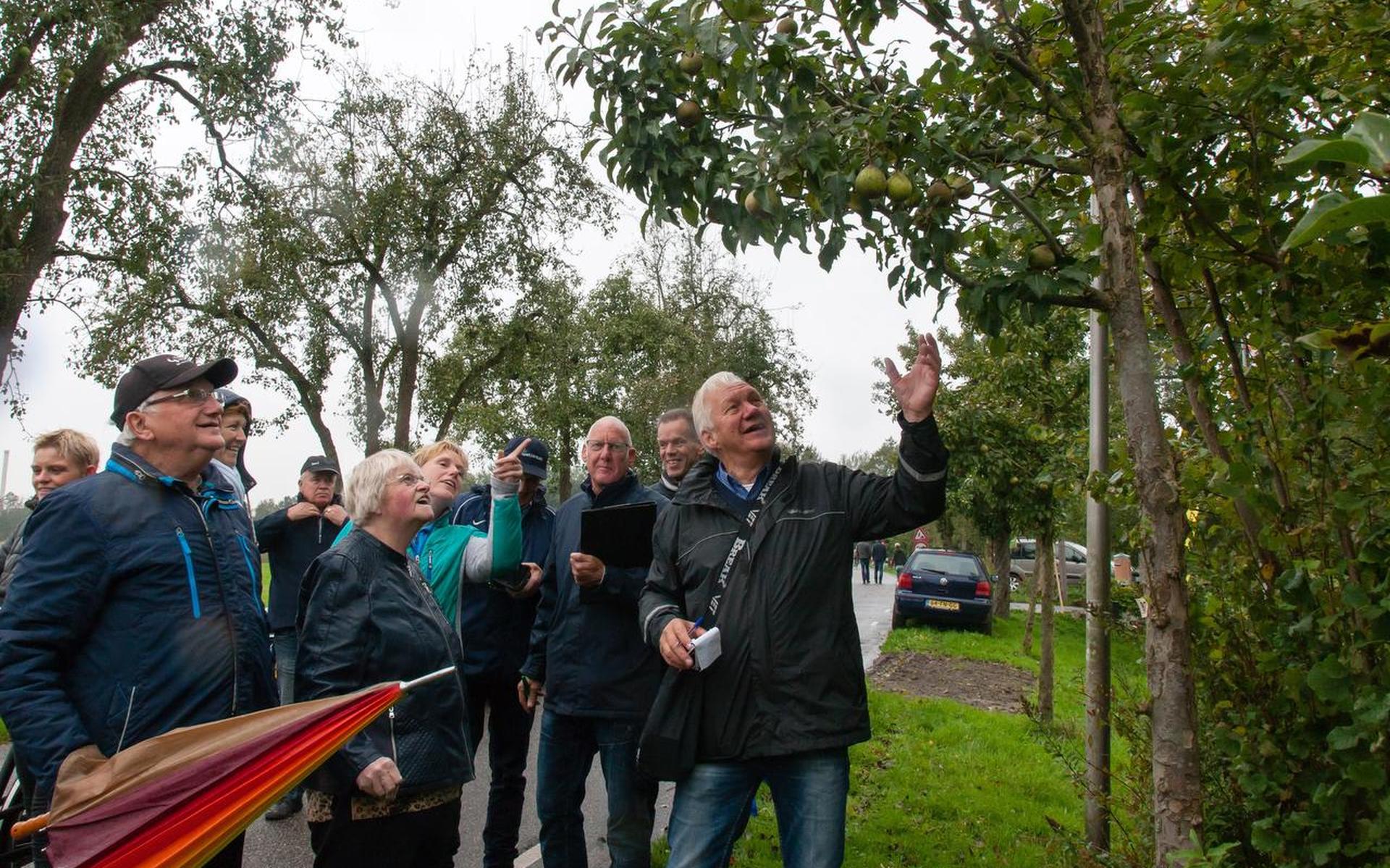 Slecht weer en minder peren voor plukkers in Ruinerwold - Dagblad van - Het Weer In Ruinerwold