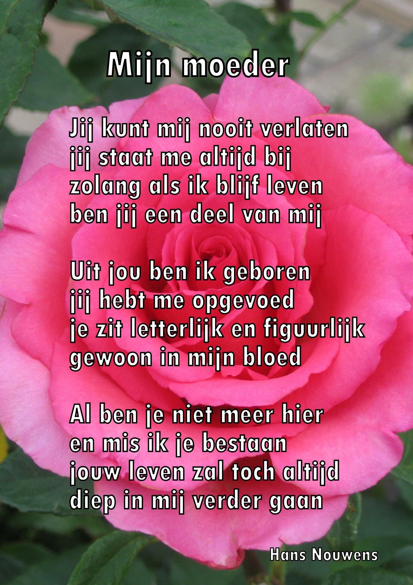Onzin Moeder Het Blijft Een Mohammedaan