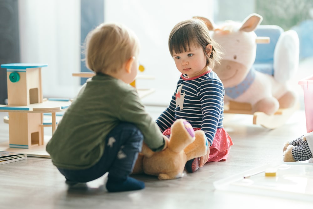 Social emotional development - awareness, relationships, decision-making - Sociaal Emotionele Ontwikkeling Peuter 2-3 Jaar