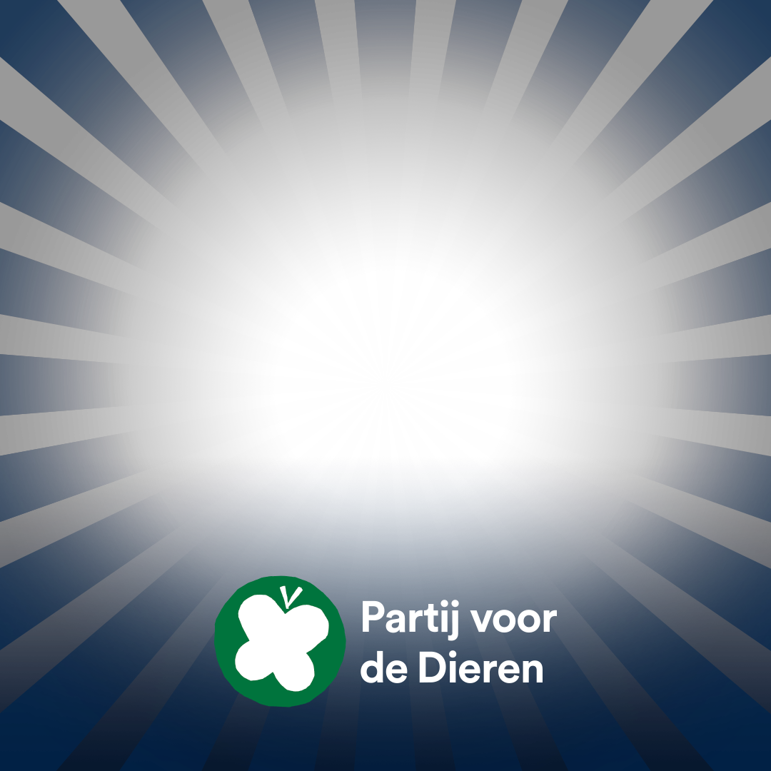 Social media studio - Partij voor de Dieren - Groenlinks Of Partij Voor De Dieren