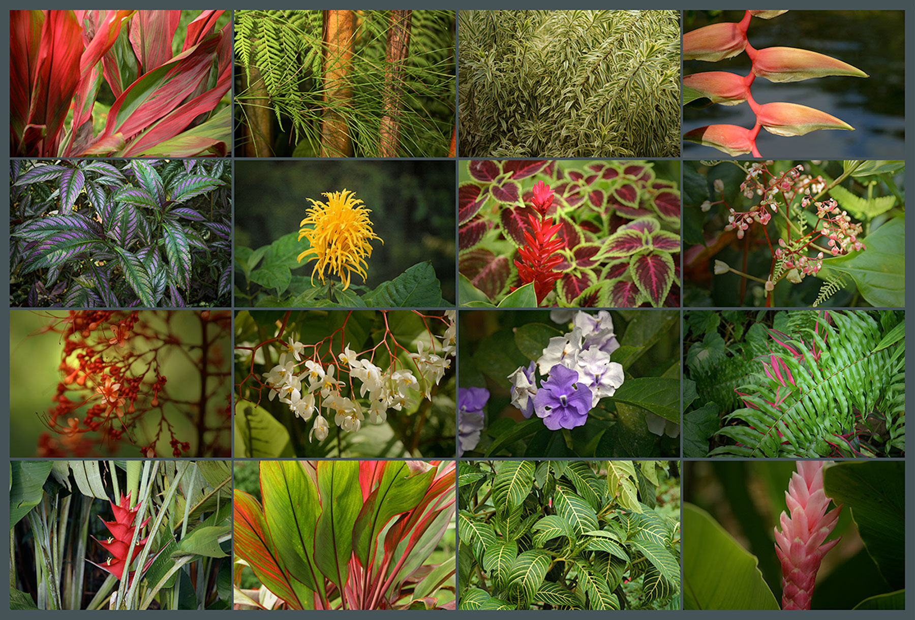 Social Trends : flora - Flora En Fauna Van Nederland