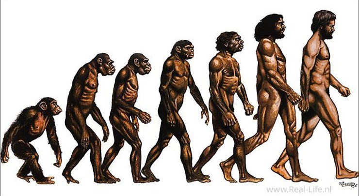 Sofiegroep 5 t/m 8; Darwin en de evolutietheorie - Kindcentrum Sint Jan - Hoe Heet De Man Die De Evolutietheorie Vooral Heeft Ontwikkeld