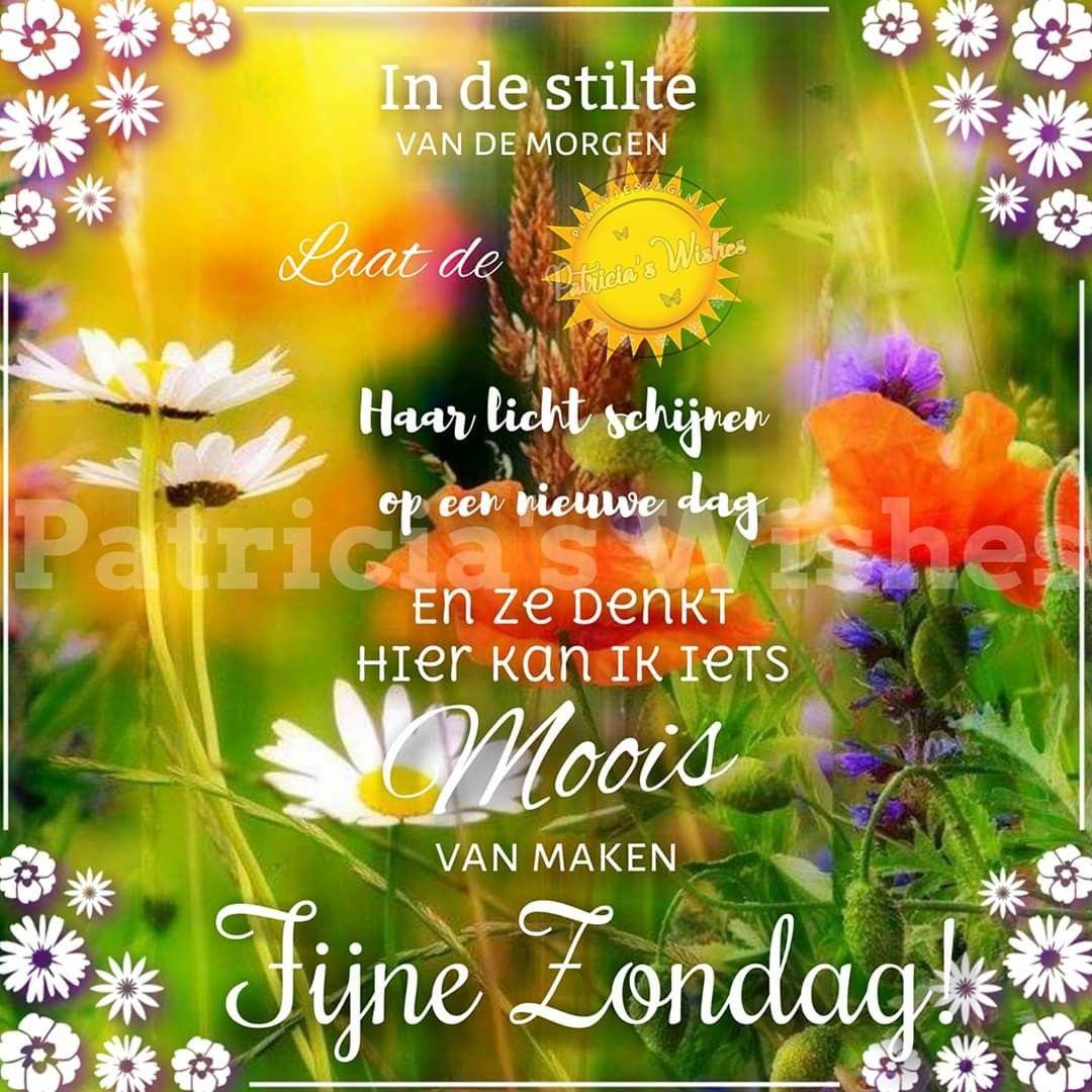 some flowers are in the grass and there is a quote that says, i'm de - Fijne Dag In Het Frans