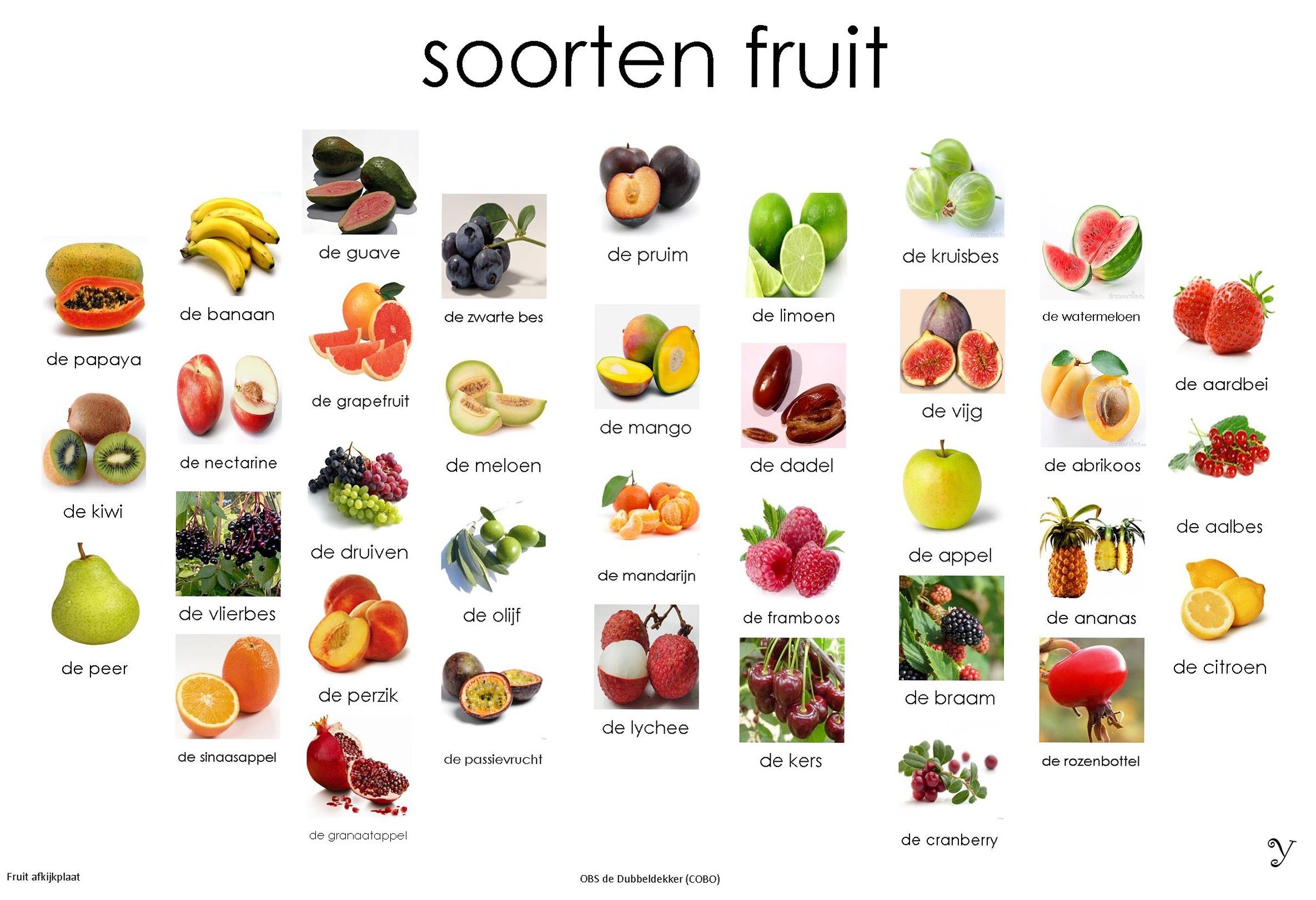 Soorten fruit / Sortes de fruits | Fruit, Dutch language, Learn dutch - Wat Is Het Verschil Tussen Fruit En Groente