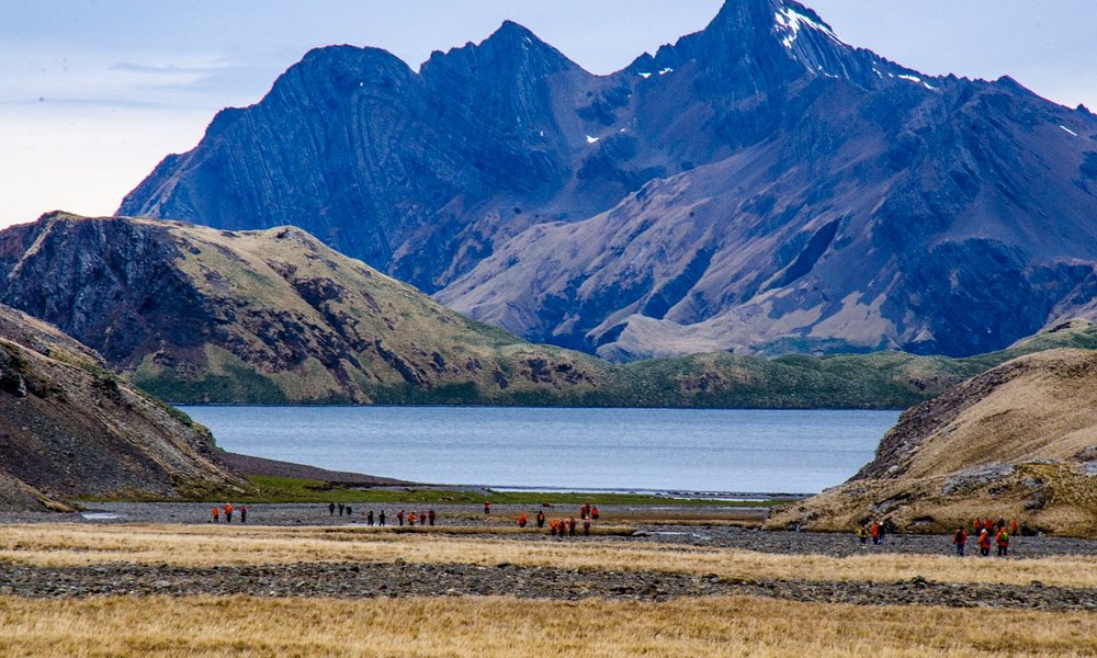 South Georgia 2021: Best of South Georgia Tourism - Tripadvisor - Zuid Georgia En De Zuidelijke Sandwicheilanden