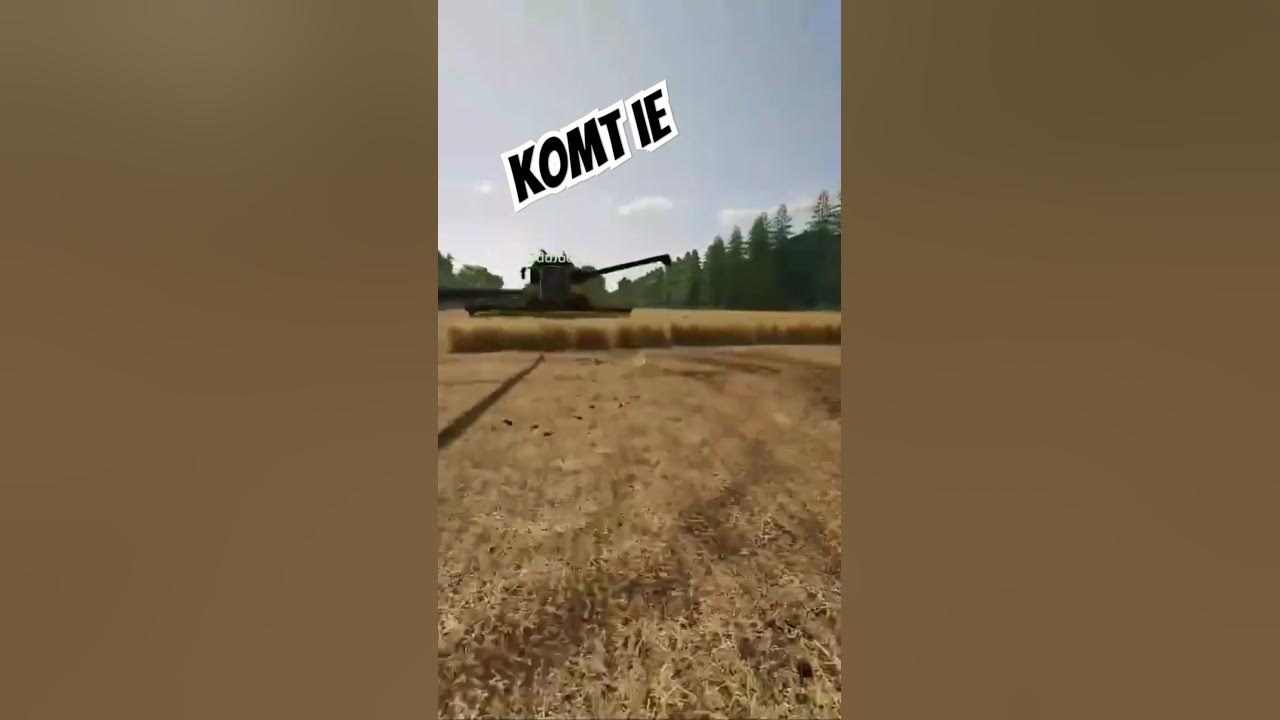 Speerwerpen met een boom #shorts - YouTube - Hoeveel Weegt Een Speer Bij Speerwerpen