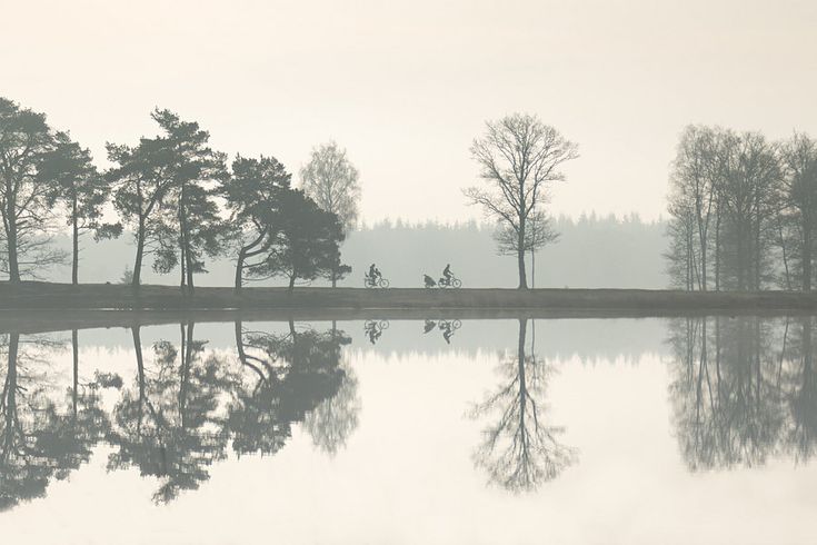 Spiegels van de natuur van Tekstvaart Photography op canvas, behang en - Spiegels Van De Ziel 4 Letters