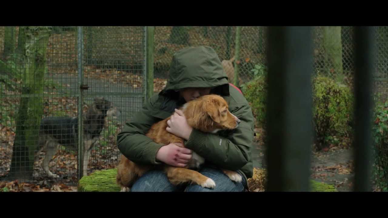 Waar Kan Je De Film Spijt Kijken