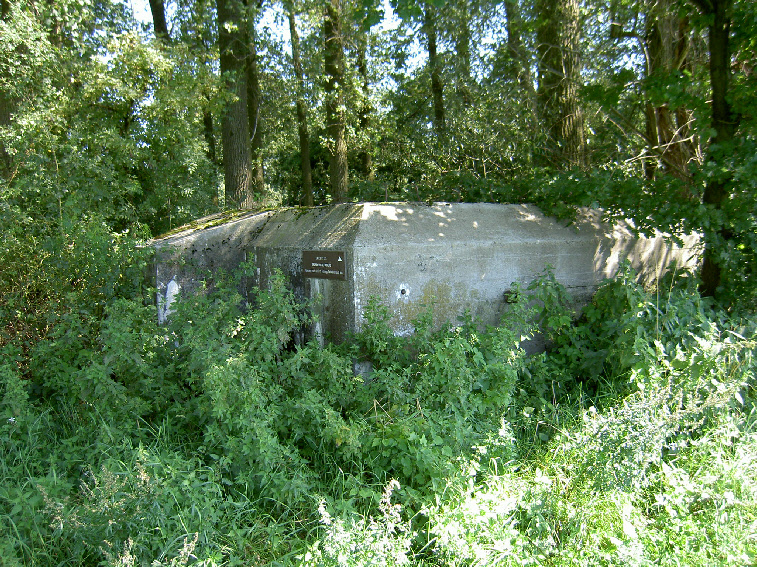 Sporen Van De Oorlog