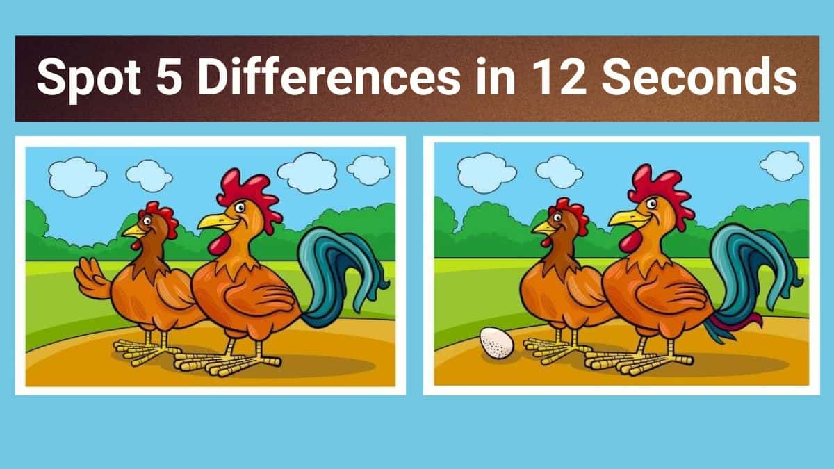 Spot The Difference: Can you spot 5 differences between the two - Difference Between Definite And Indefinite Article