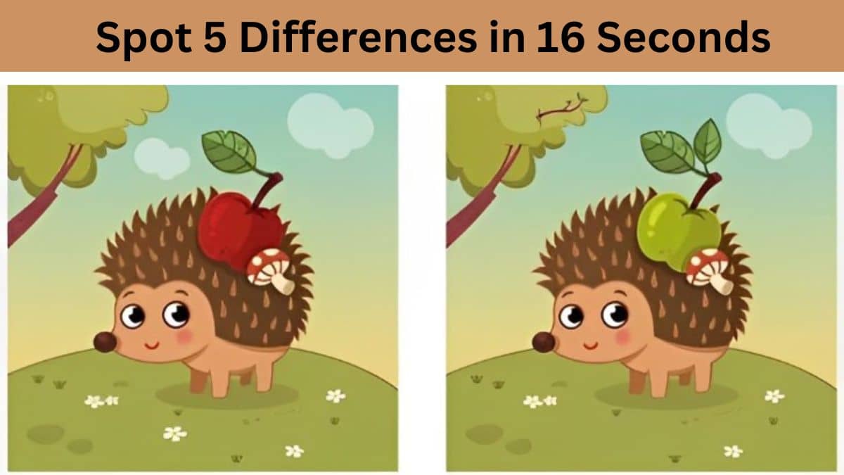 Spot The Difference: Can you spot 5 differences within 16 seconds? - Difference Between Definite And Indefinite Article