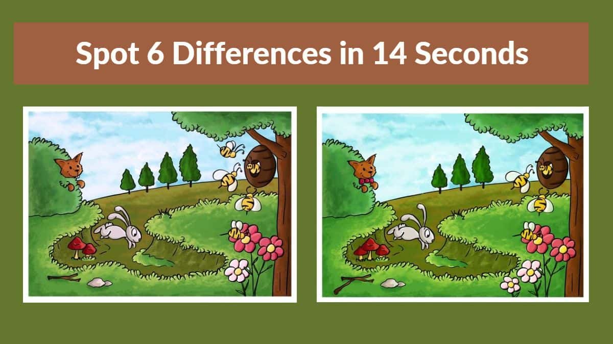 Spot The Difference: Can you spot 6 differences between the two - Differences Between Parliament And Government