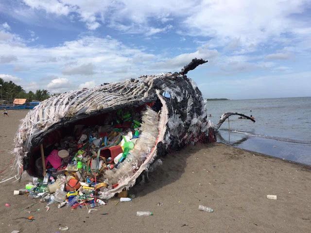 Spotted in Naic, Cavite -- a 60 kilogram whale sculpture made out of - Waarom Is Plastic Soep Een Probleem
