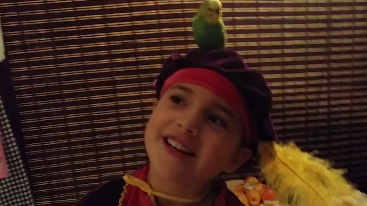Spring als een pepernoot - YouTube - Waarom Heet Een Pepernoot Een Pepernoot