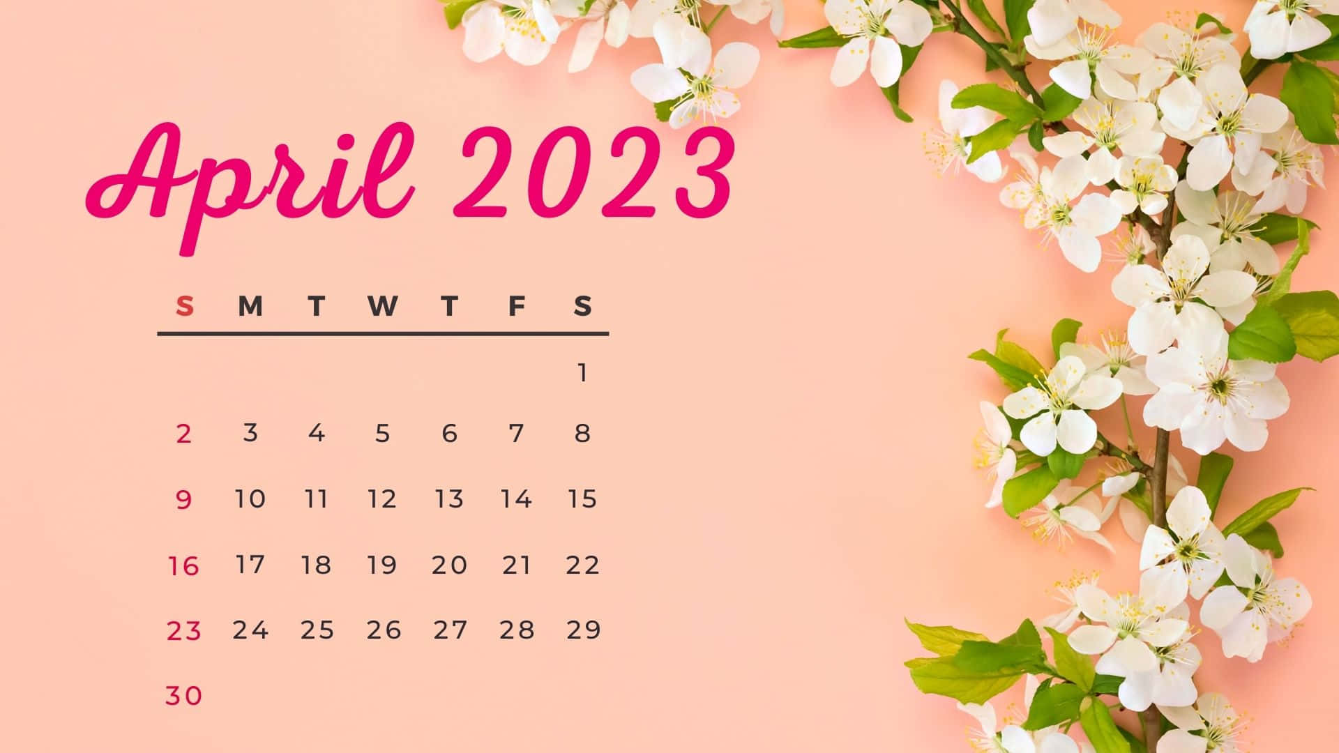 Spring Desktop Wallpaper 2023 - Infoupdate.org - Hoeveel Medische Kosten Aftrekbaar 2023