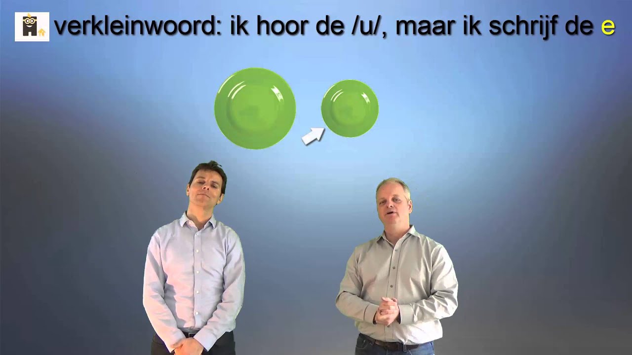 Staal Spelling Categorieën Groep 6