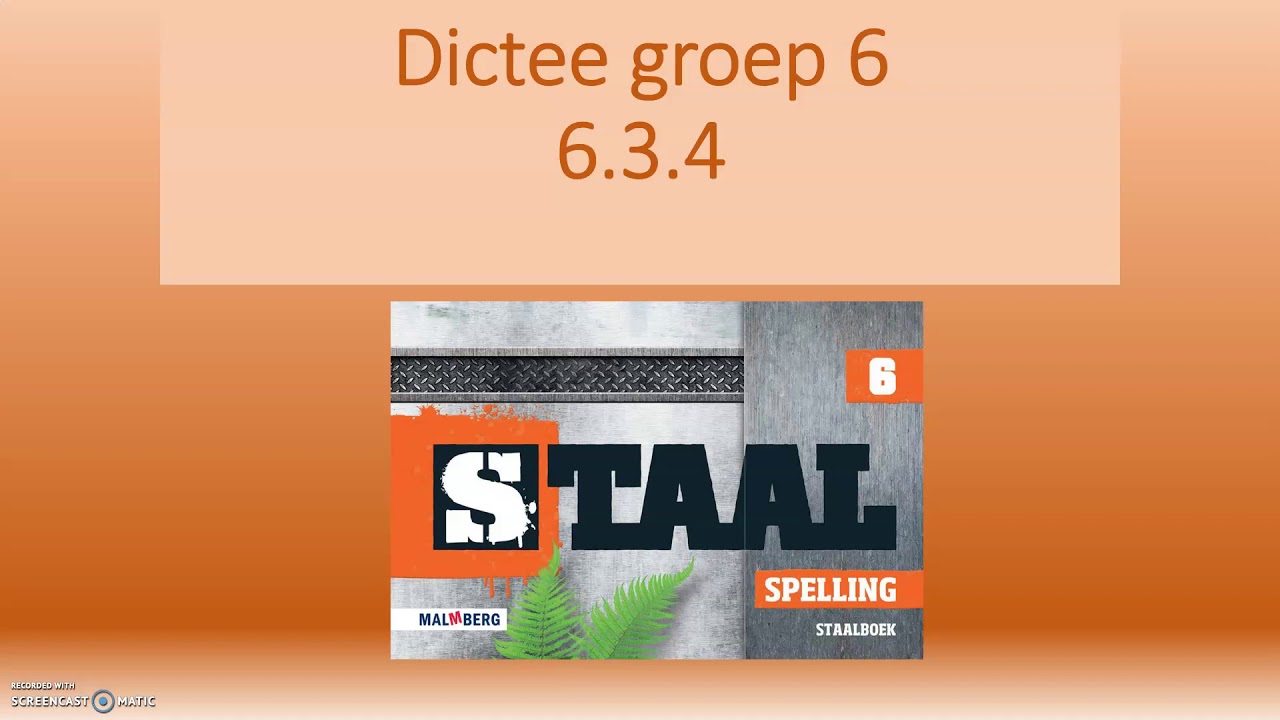 Staal Spelling Groep 6 Woordenlijst