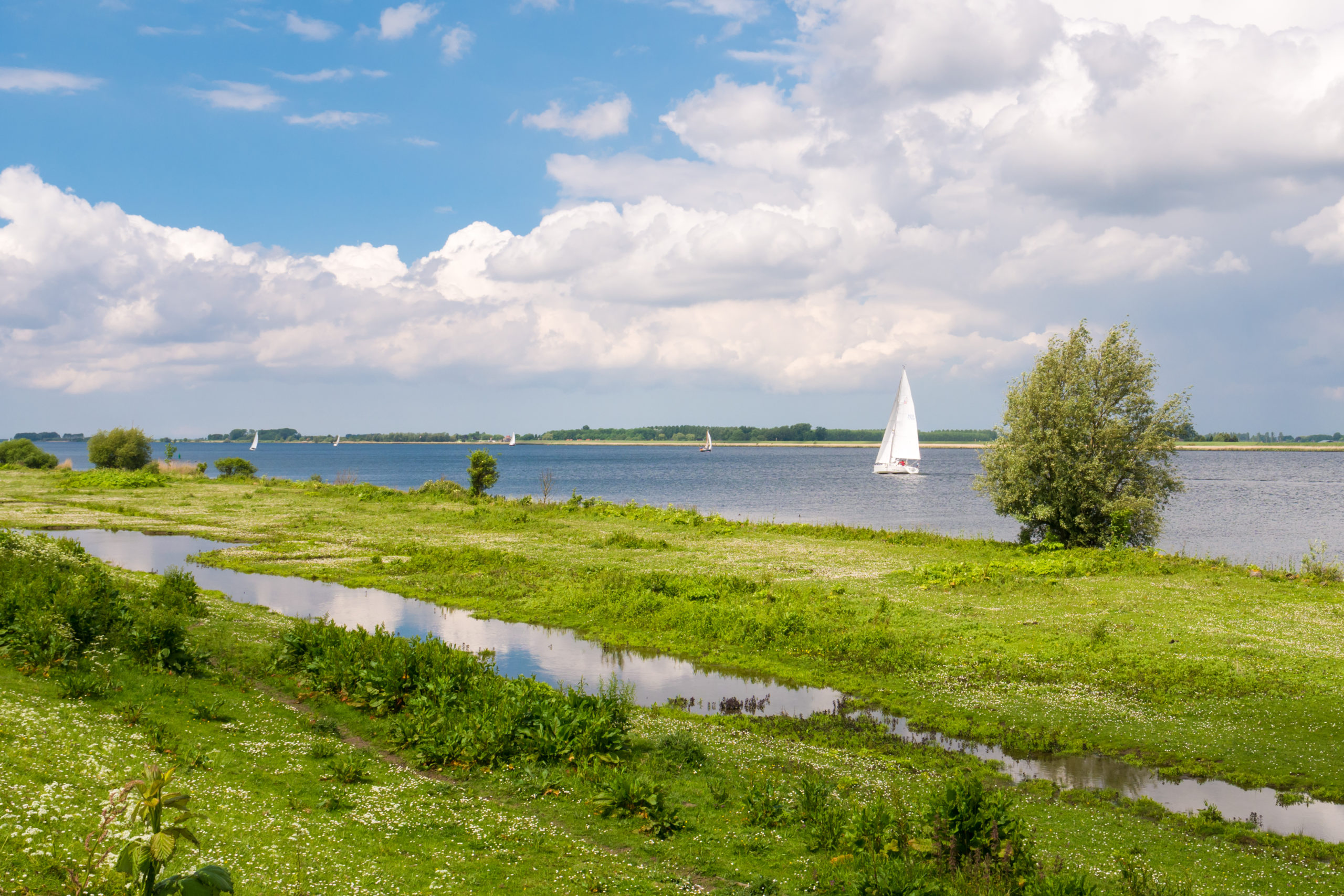 Stad aan’t Haringvliet | Stad Aardgasvrij - Stad Aan T Haringvliet
