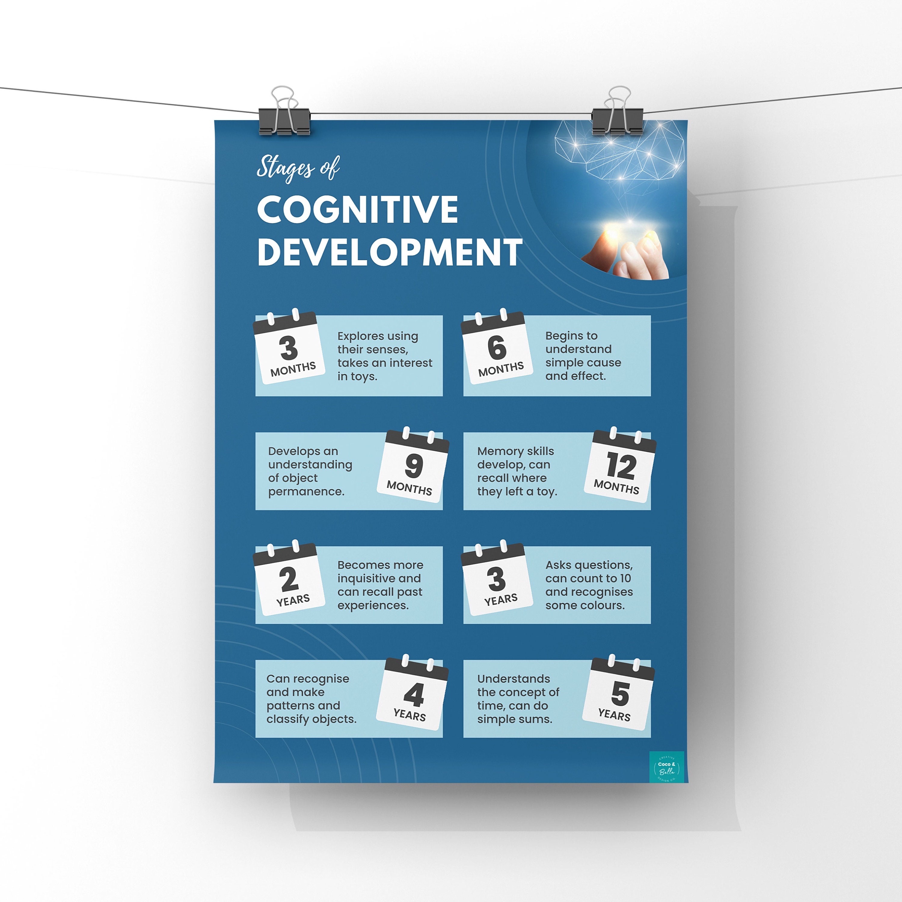 Stages of Cognitive Development Poster | Education | Child Development - Cognitieve Ontwikkeling Kind 3 Jaar
