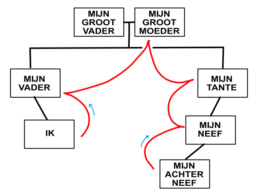 Stamboom en DNA - Bommeltje.nl - Wat Is 1e Graad Familie
