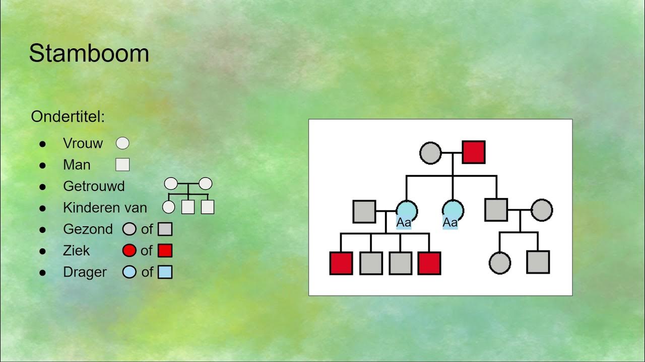 Stamboom (erfelijkheid) - YouTube - Verschil Tussen Familiaal En Erfelijk