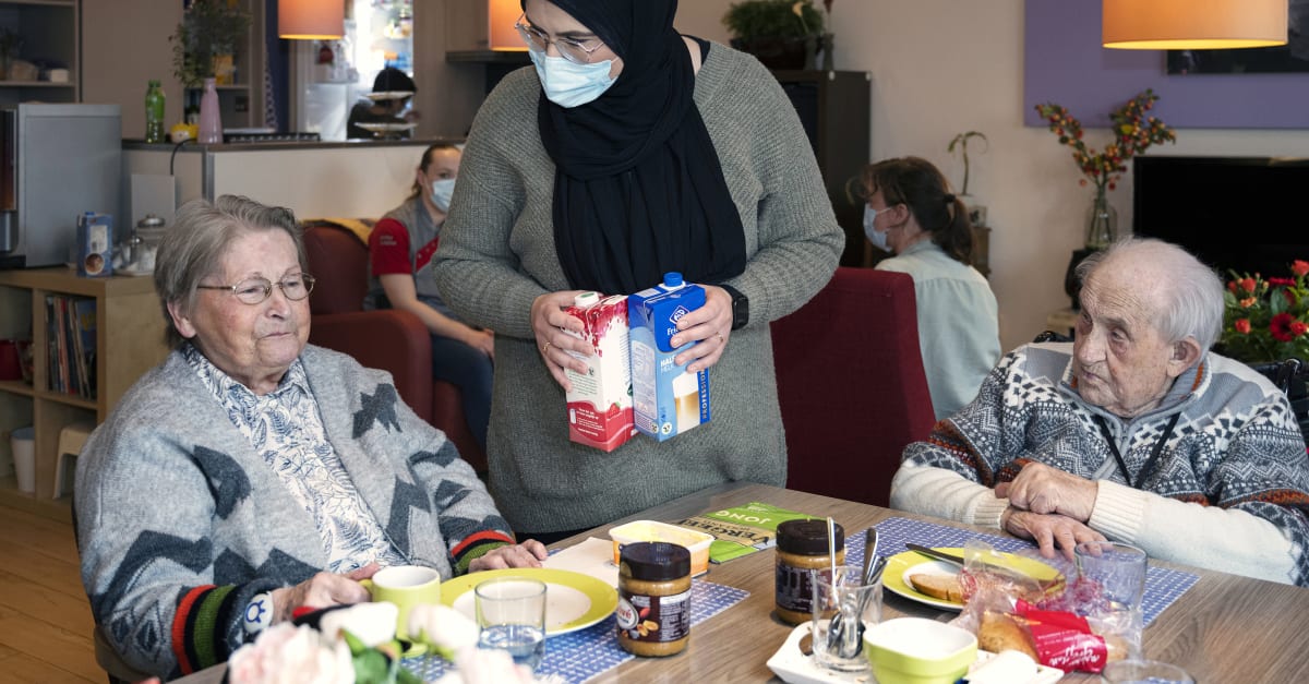 Stappenplan Wet zorg en dwang - Stappenplan Wet Zorg En Dwang