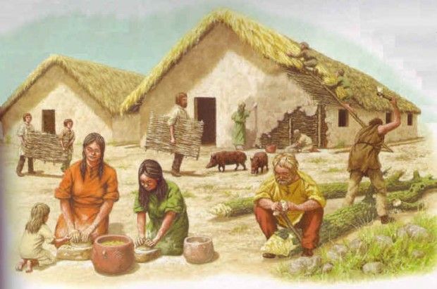 Steeds meer mensen begonnen op een plek te wonen. Zo ontstonden er de - Hoe Oud Werden Mensen In De Prehistorie