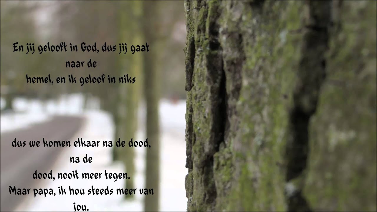 Stef Bos Papa Songtekst