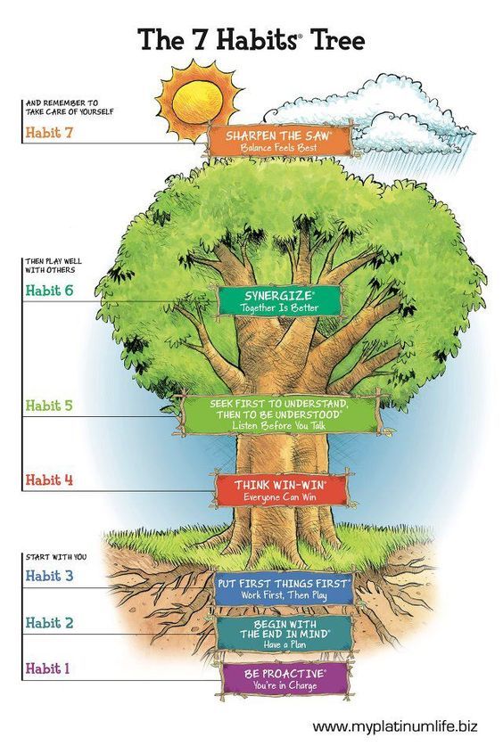 Stephen R. Covey - 7 Habits Highly Effective People, Franklin Covey, 7 - Steven Covey The 7 Habits