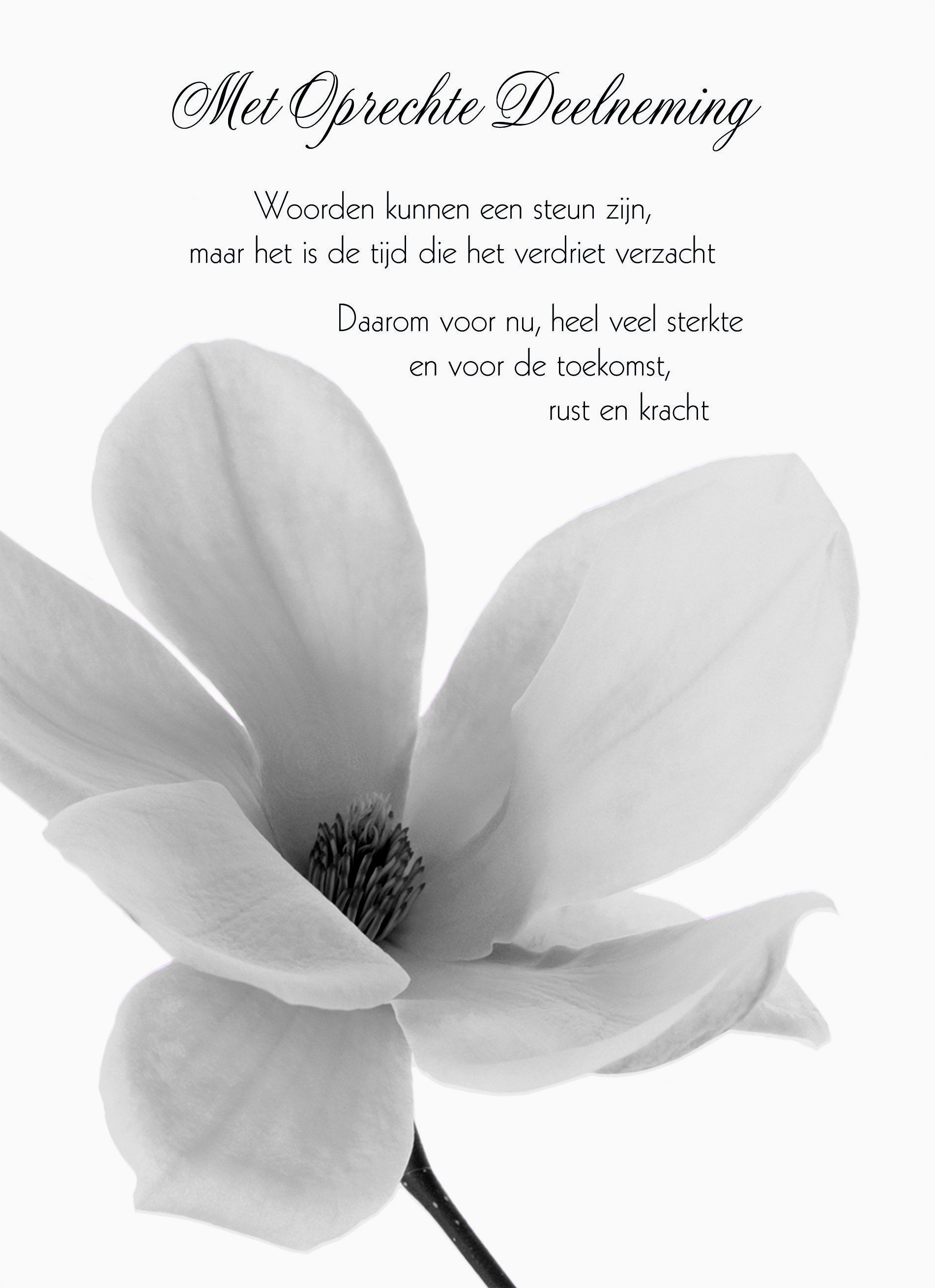 Sterkte voor de toekomst | Hallmark | Rouwkaart, Begrafenis gedichten - Troostende Woorden Innige Deelneming Teksten Toon Hermans
