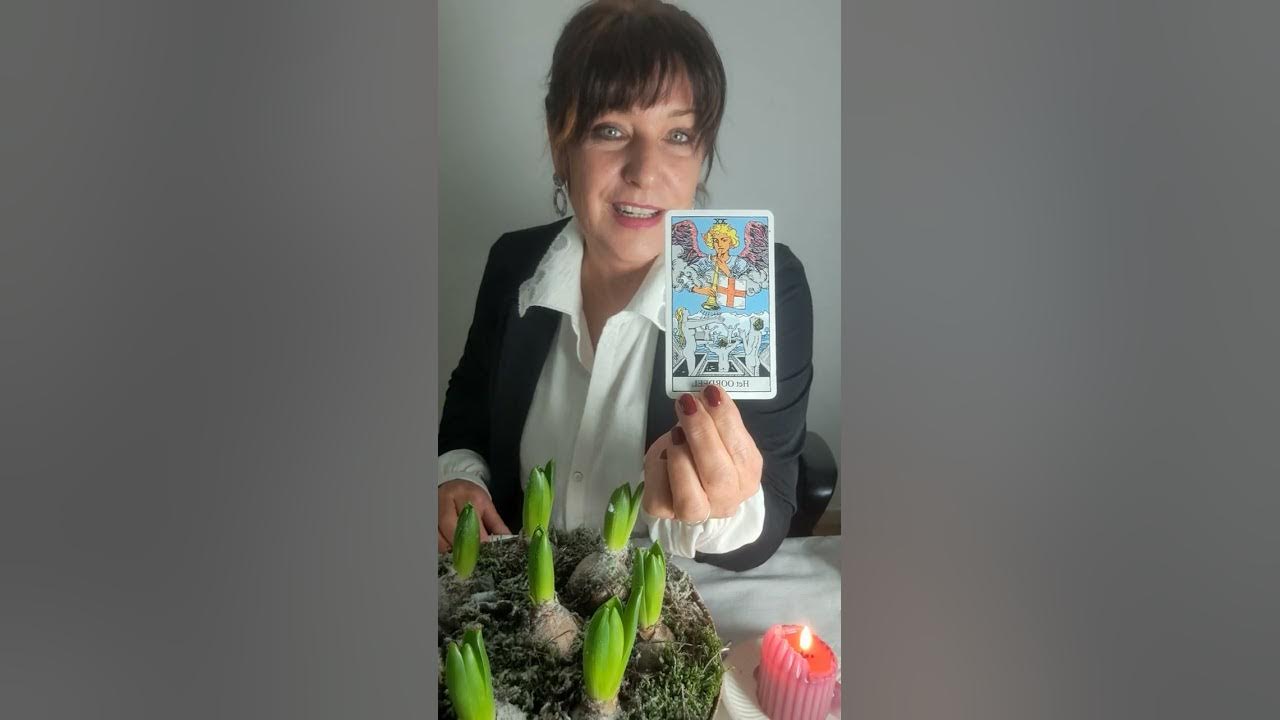 Sterrenbeeld steenbok december 2023 🎁🎁🎁 - YouTube - Sterrenbeeld 22 December Boogschutter Of Steenbok
