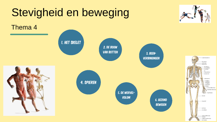 Geven Stevigheid En Zorgen Voor Transport