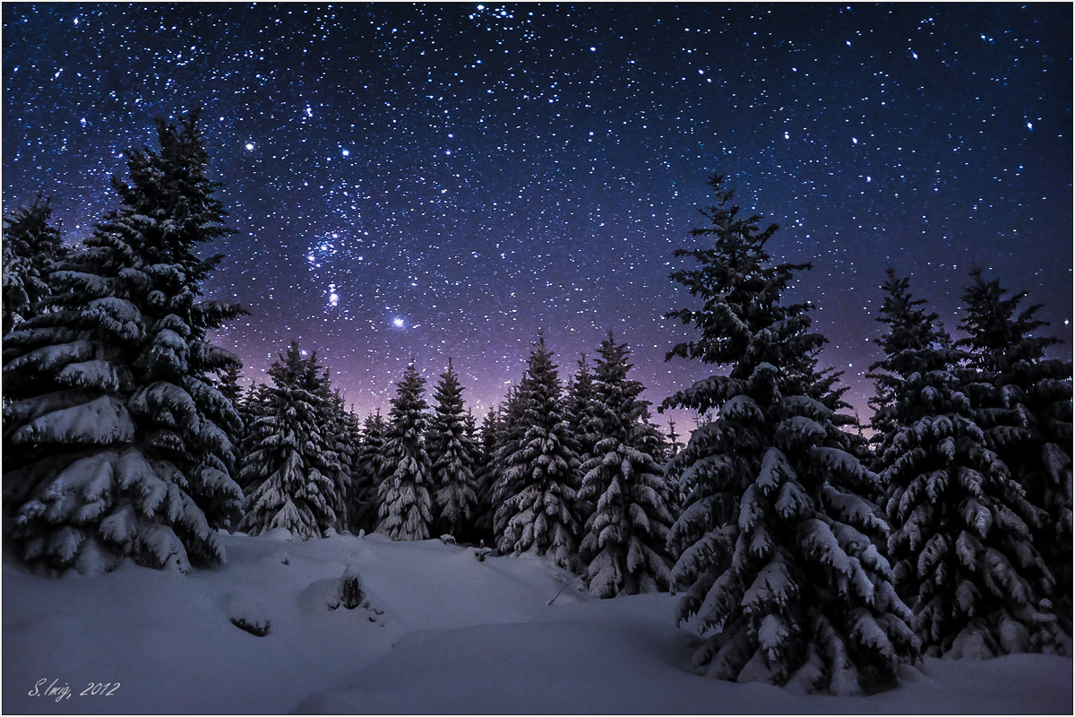 Stille Nacht, (Forum für Naturfotografen) - Nacht Schlafen Die Ratten Doch