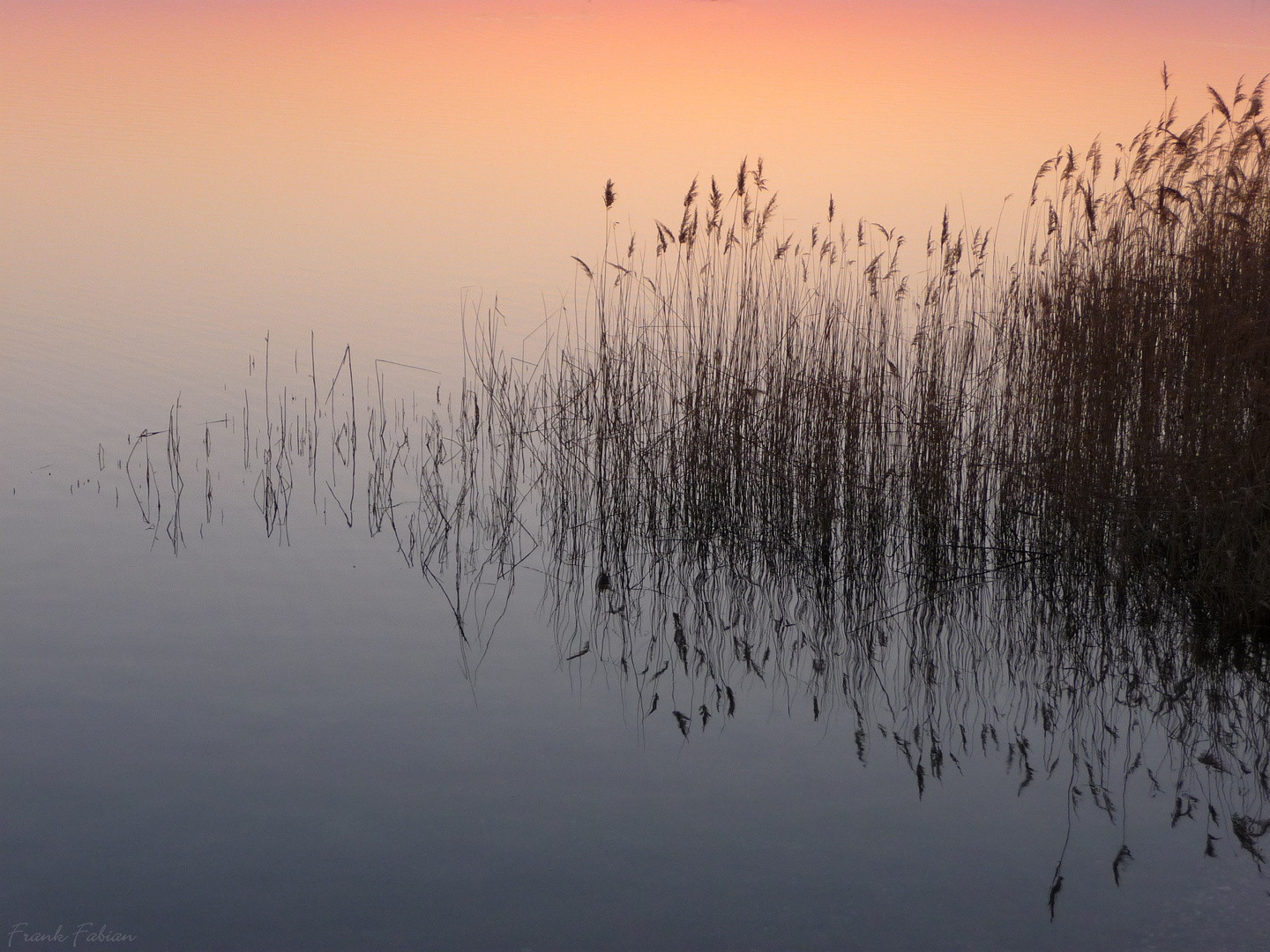 Stille Natur Foto & Bild | landschaft, bach, fluss & see, see, teich - Stille Wateren Hebben Diepe Gronden Bijbel